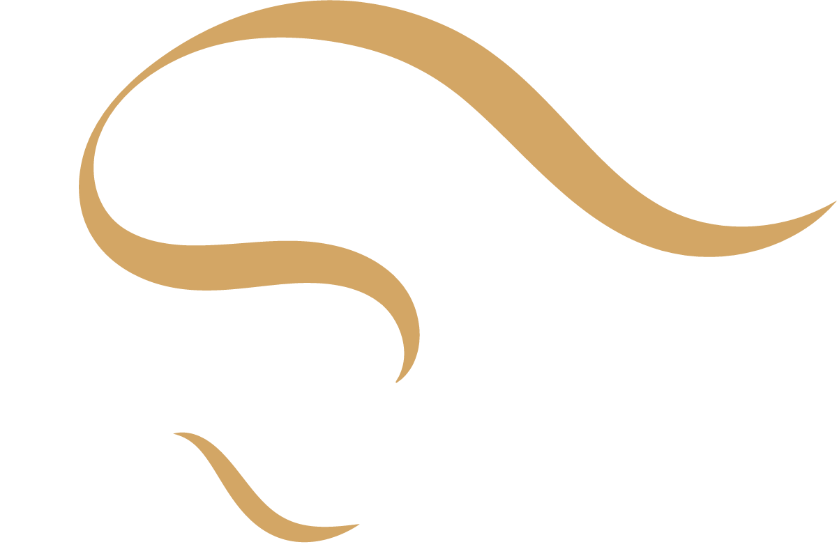 dom-krasoti-arkadi-logo